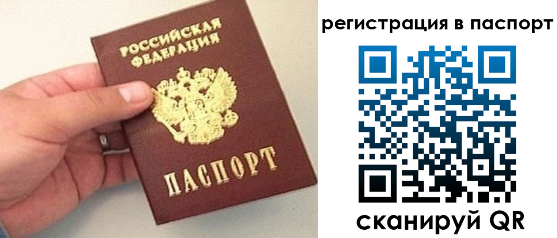 прописка законно в Таганроге